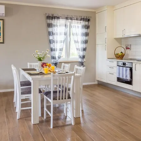 Noah And Matija * Ston